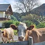 Biobauernhof Poidlbauer Farmház