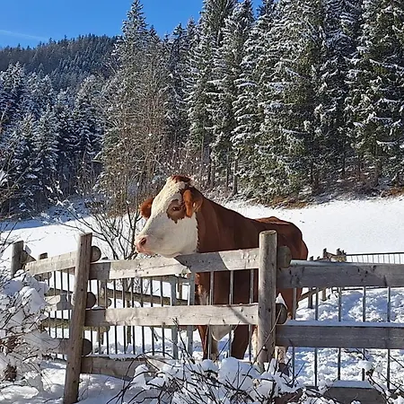 Biobauernhof Poidlbauer * Göstling an der Ybbs