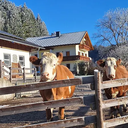 Biobauernhof Poidlbauer Göstling an der Ybbs