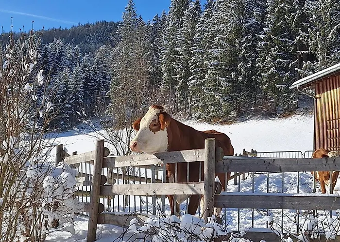 Biobauernhof Poidlbauer * Göstling an der Ybbs