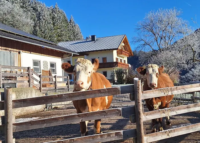 Biobauernhof Poidlbauer Göstling an der Ybbs