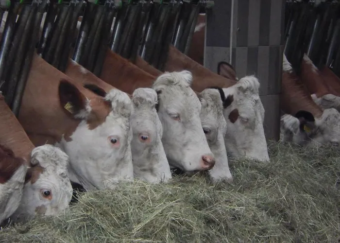 Biobauernhof Poidlbauer * Göstling an der Ybbs